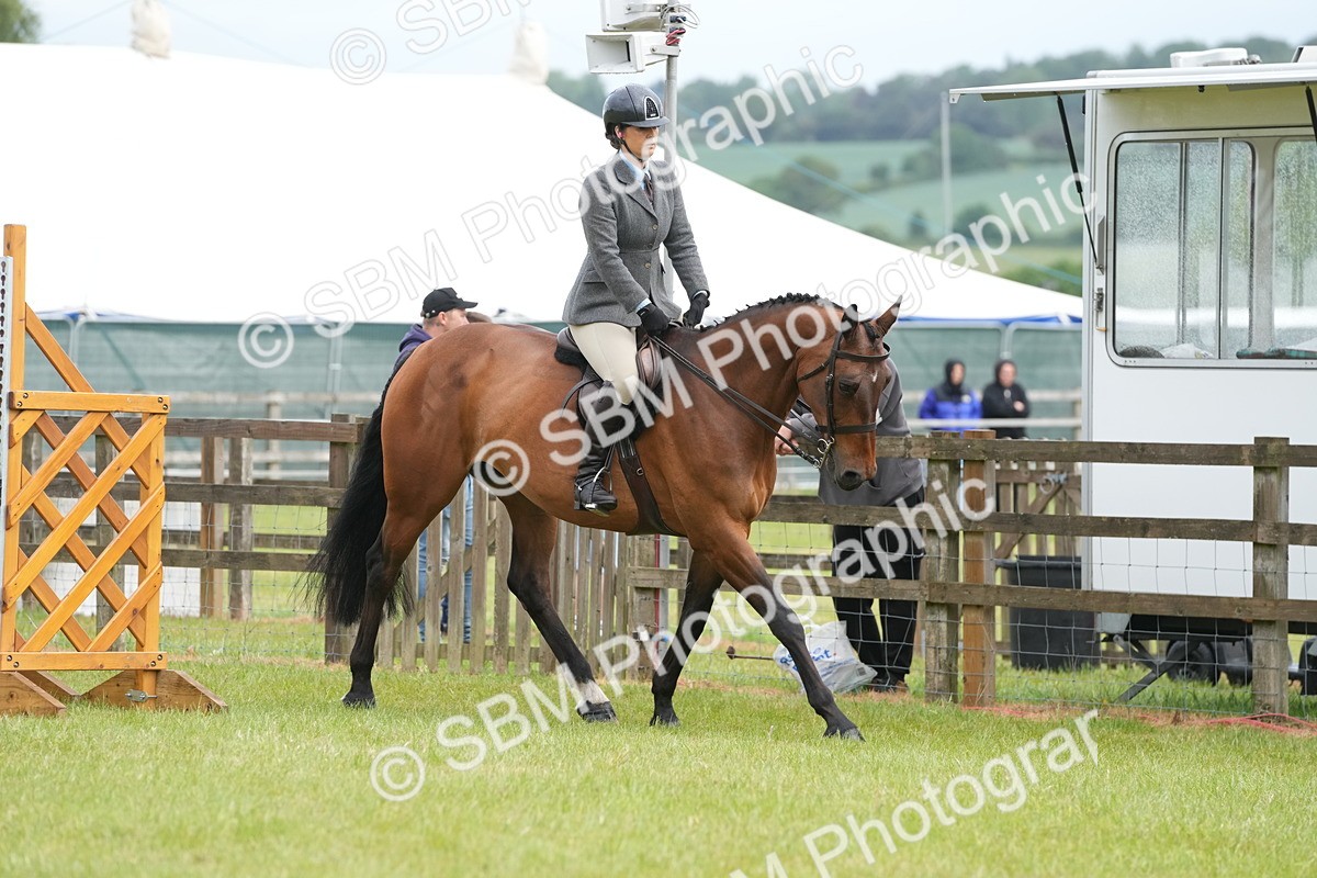 SBM_12726 - Class 97-98 - LIHS BSHA Rising Star Working Show Horse Hunter