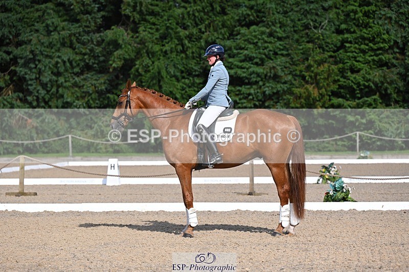 240809-163553-02409 - Novice Gold