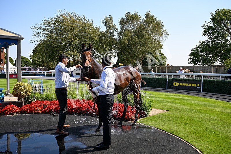 130826-Race 1-Not My Type-7867 - Race 1 14.15pm Racing TV Club Day EBF Fillies' Novice Stakes