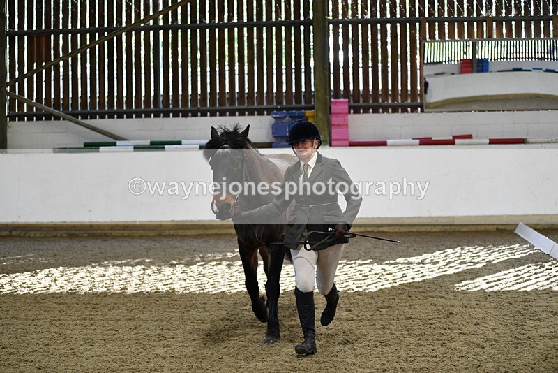 WJ5_3570 - Class 5 In Hand Veterans