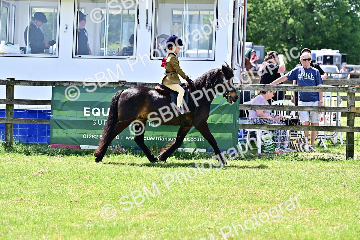SBM_06017 - Class 59-60 - TSR M&M  Lear Rein and First Ridden Amateur of the year