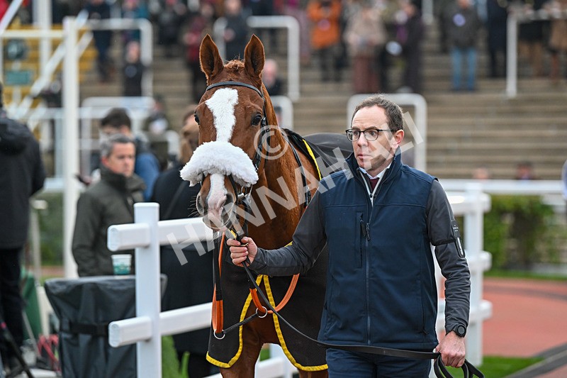 161124-Race 6-Paddock-Hamsiyann-1206 - Race 6