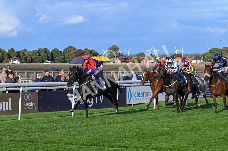 240924-Race 7-It Just Takes Time-6923 - Race 7