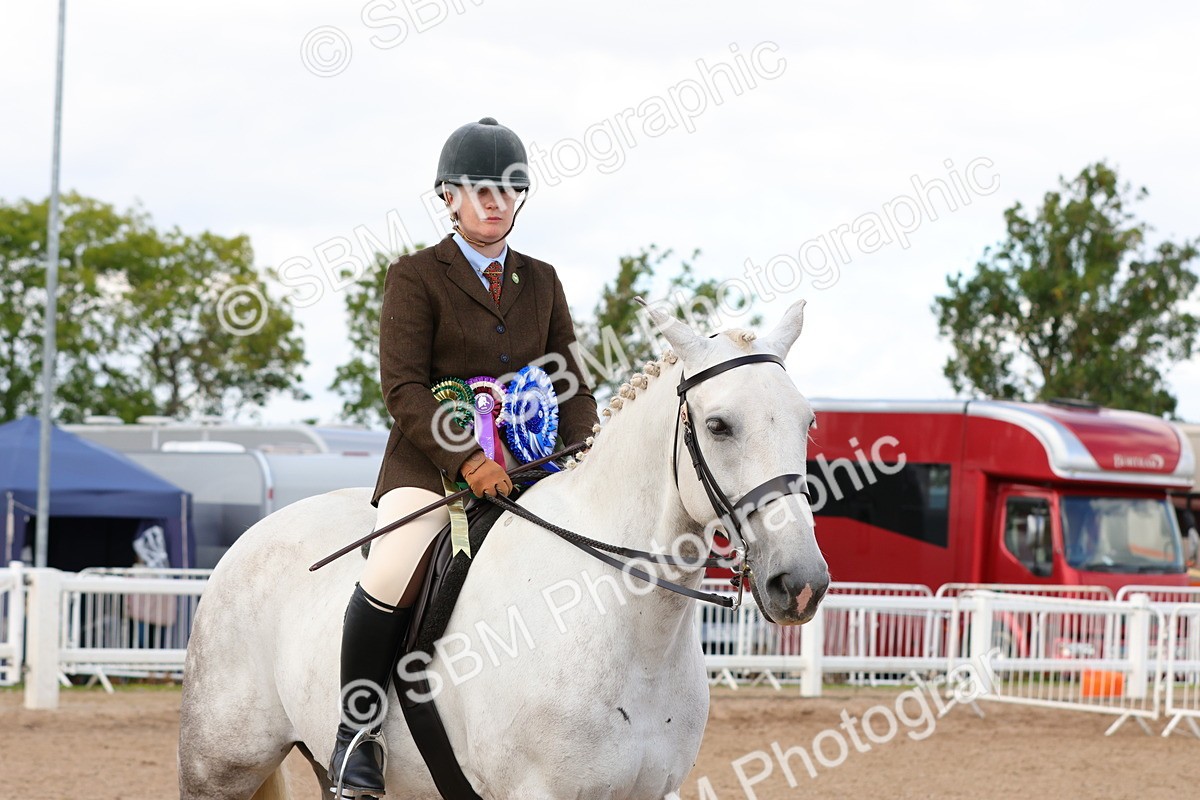 SBM_13583 - Class 212 - Ridden Hunter  - Large