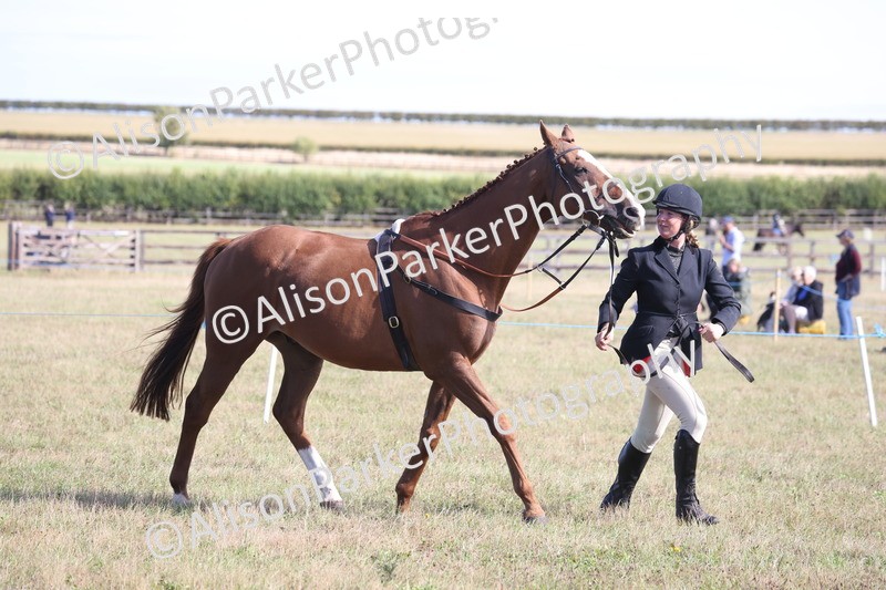 20260906-0748 - Class 22 - Ex Racehorse