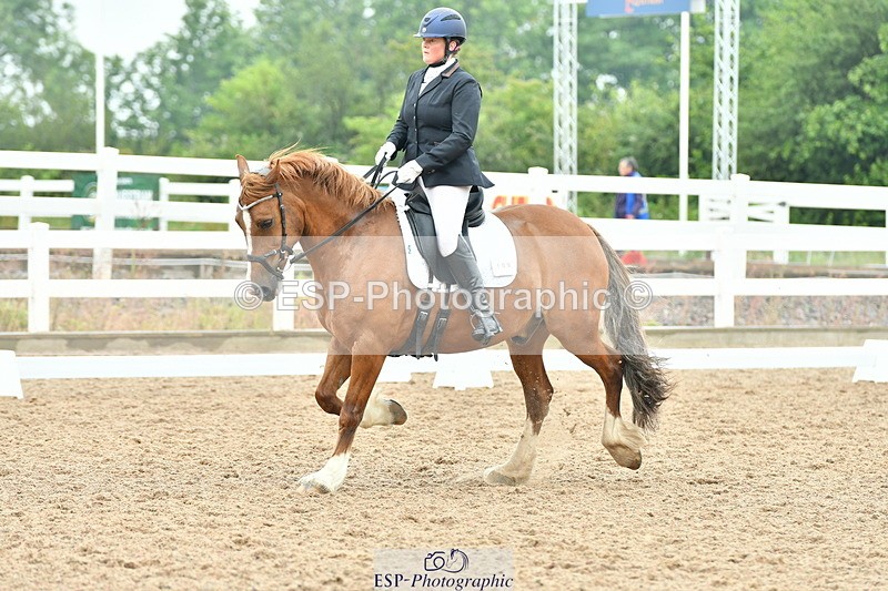 230708A-135451-02882 - Elementary 43