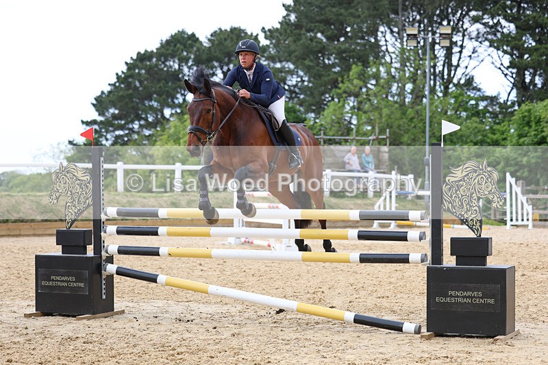 3E7A7887 - Class 8: Senior Foxhunter/1.20 open