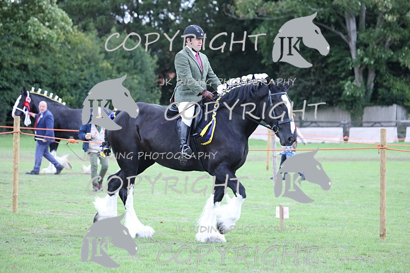 APP_3619 - Class 8 Ridden Class