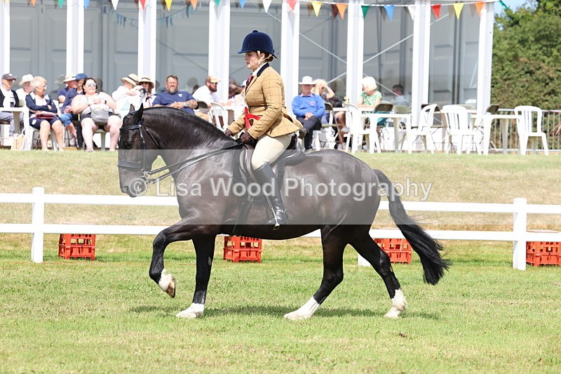 3E7A0562 - Rising Star Ridden Championship