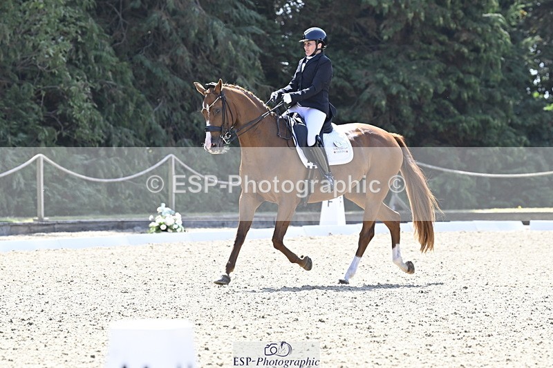 250810A-114821-05524 - 113-Stacey.EscrigJOIE.DE.VIVRE.III