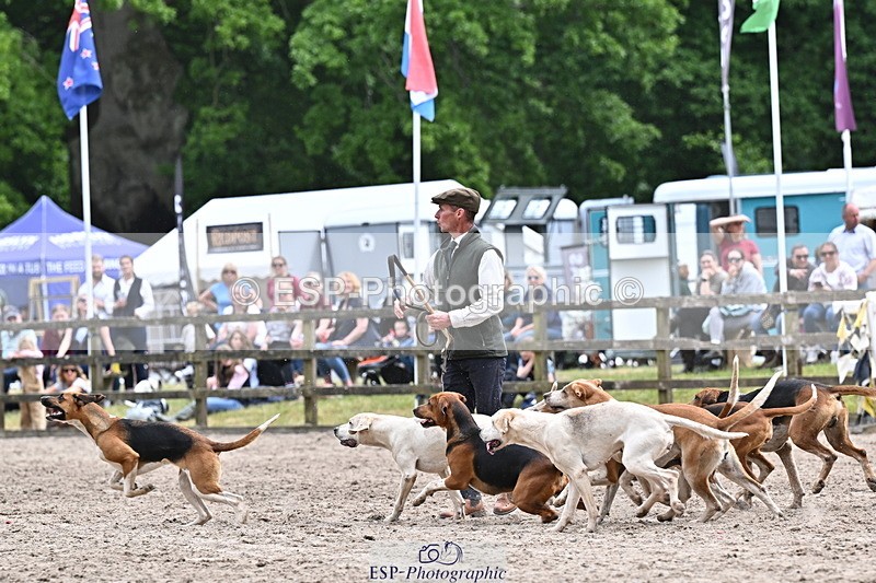 250524A-152320-12716 - East Devon Hounds