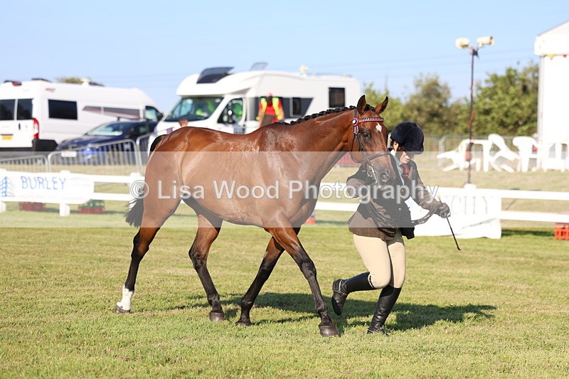 3E7A5164 - Class 1: Rising Star Small Hack/Riding Horses