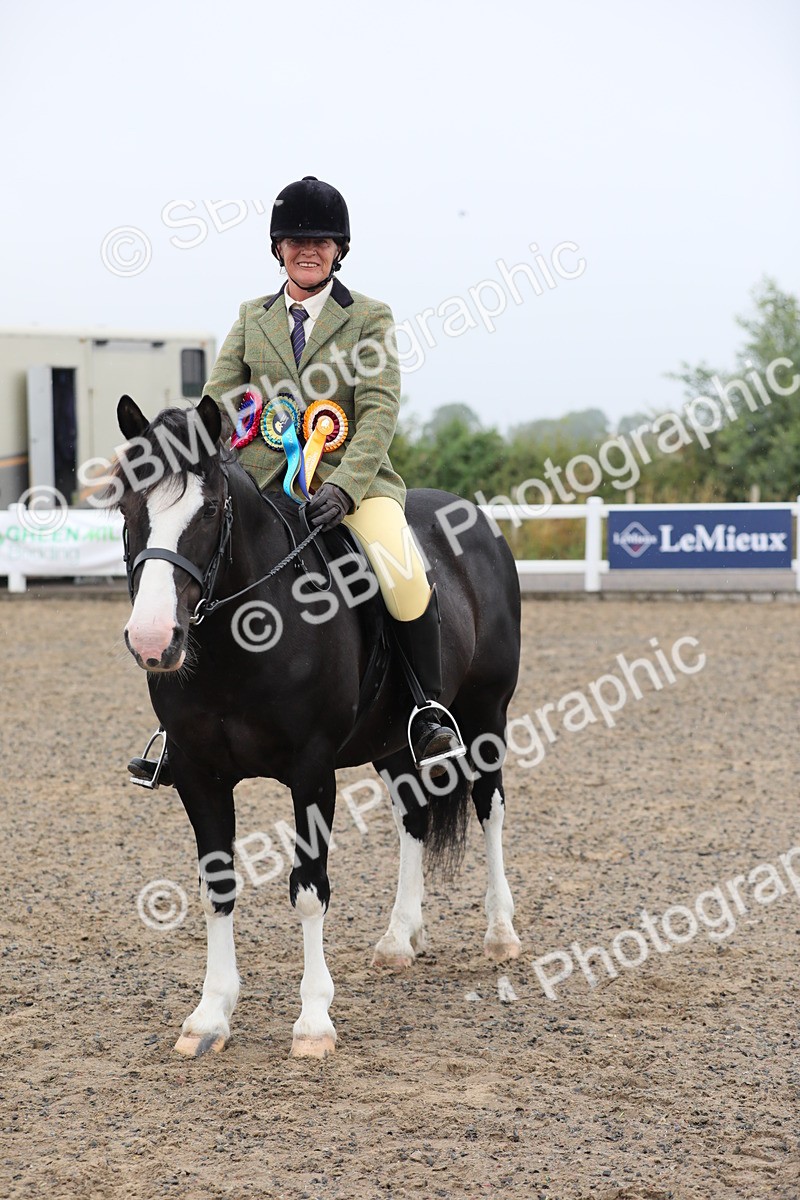 SBM_20096 - Class 802 - Ridden Groom - Helpers class