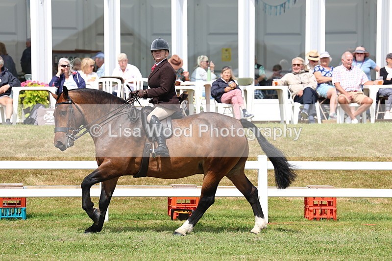 3E7A0576 - Rising Star Ridden Championship