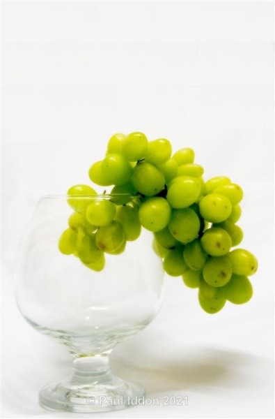 Grapes - Macro