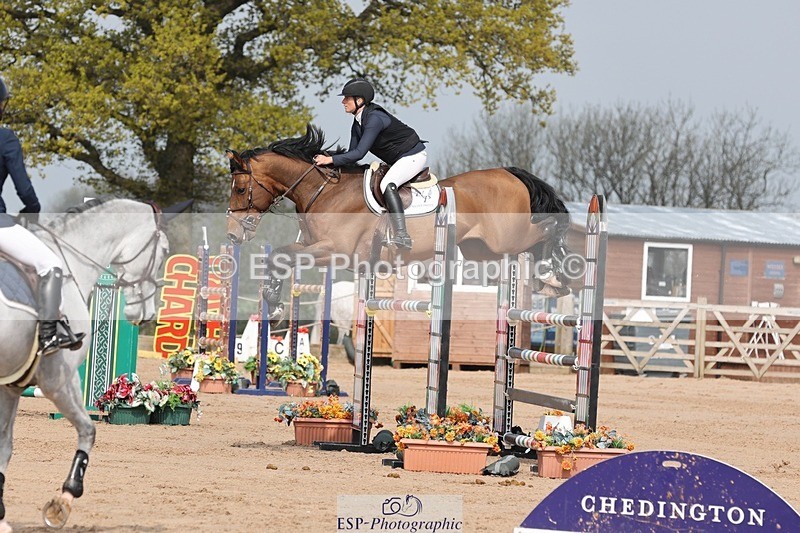 250424-104750-03232 - Cls 33 Young Horse 7yr old