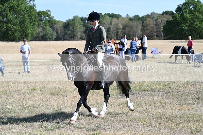 WJ7_3688 - Class 9 Mountain & Moorland Ridden