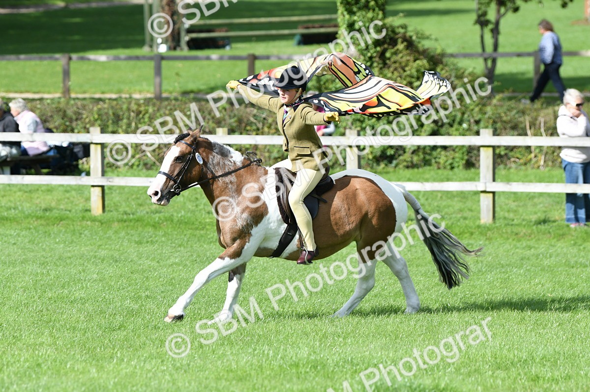 SBM_47114 - S12 - Family Horse & Pony