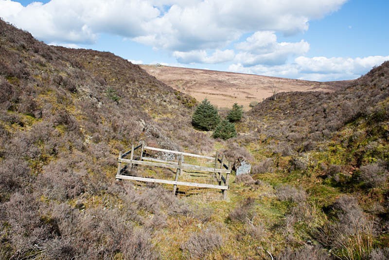 iptc+HEAD - Birch/Vitifer tin mine