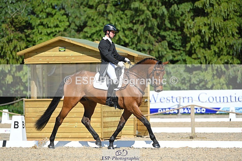 230526-161740-07326 - 255-HI_MR_HENRY-Henry_Hobby-WEDTrotUp+DR