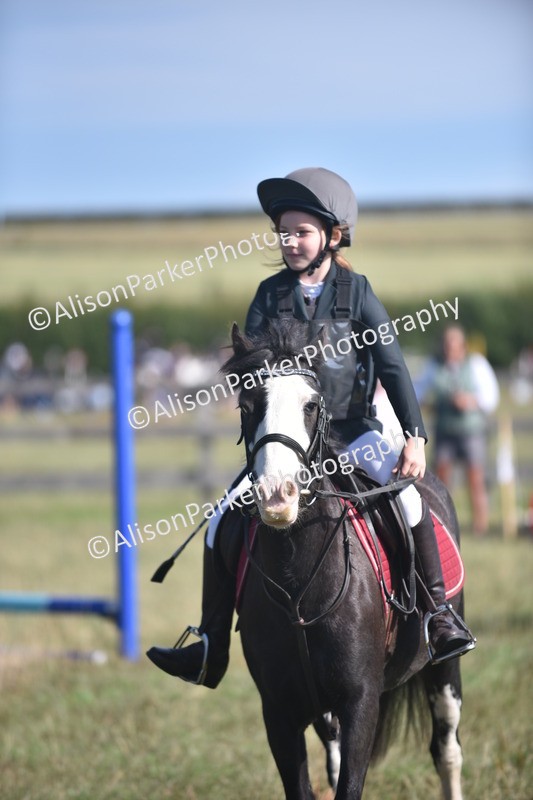 20260906-0936 - Class 7 - Absolute Novice Jumping 35cm