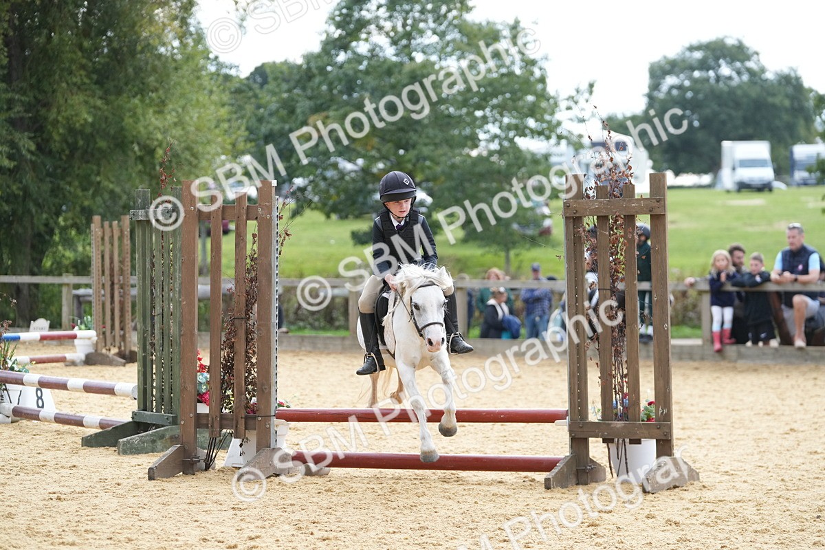 SBM_74701 - J4 - Mini Tour Junior Pony 45cm Championship