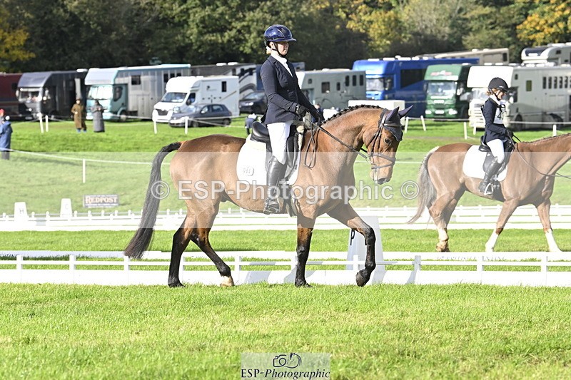 251023A-150743-04511 - E-386-Zara.Head