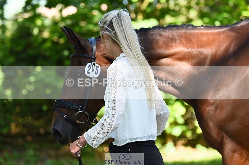 230524-155718-00582 - 205-ARTICUS-Maja_Hullah-WEDTrotUp+DR