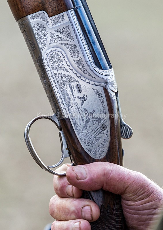 KJS_9475 - Elton Hall Estate. Shoot day.