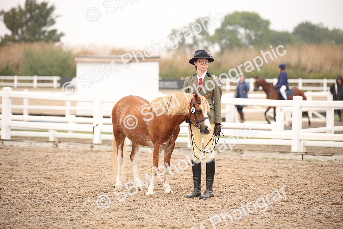 SBM_20200 - Class 703 - IH  Coloured