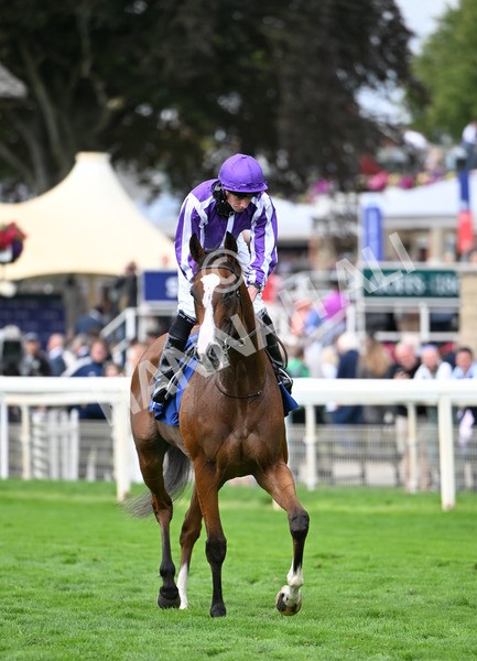 210825-121 Minnie Hauk - Race 4 3.35pm Pertemps Network Yorkshire Oaks