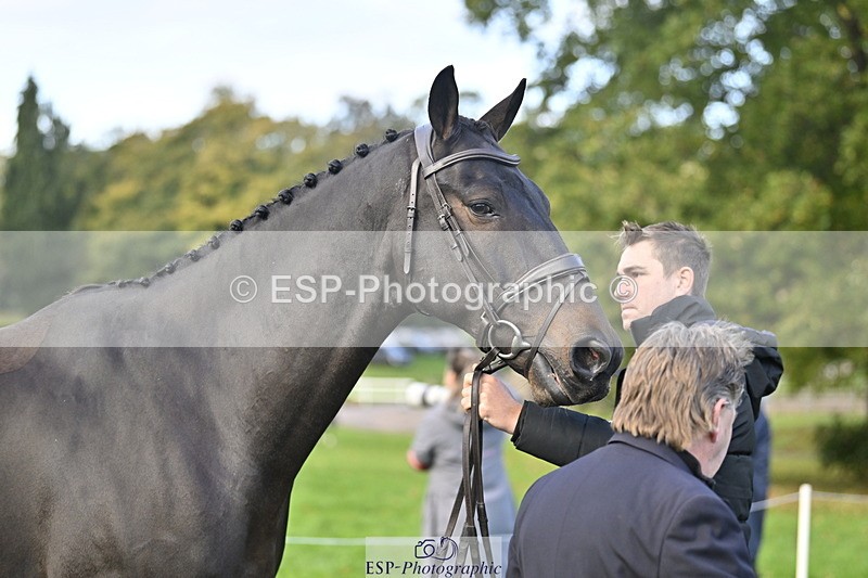 251025A-090451-17737 - A-004-Max.Warburton