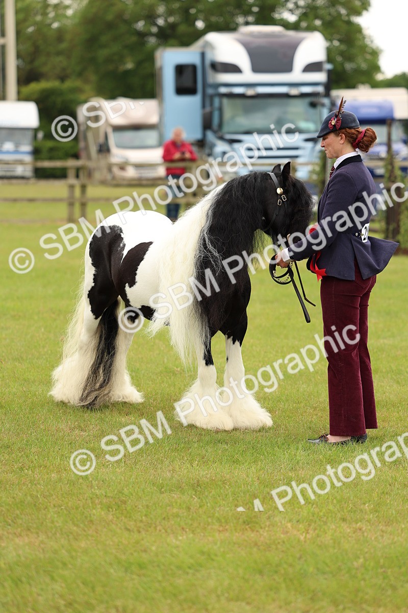 SBM_06344 - Class 39-41 TGCA In Hand and Ridden