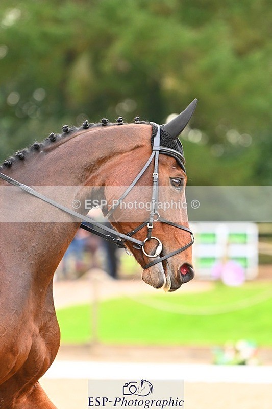 231020-152935-12013 - 313-CURTIS.DES.CHAUMES-Gilles.Serbource-DR