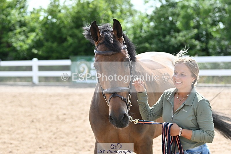 240717A-154956-03080 - Trot Up 3pm to 4pm