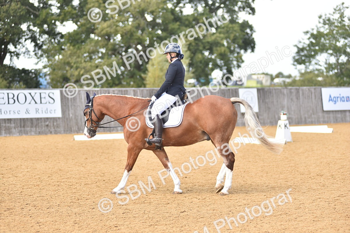 SBM_07826 - D15 - Small Tour Championship Novice 1