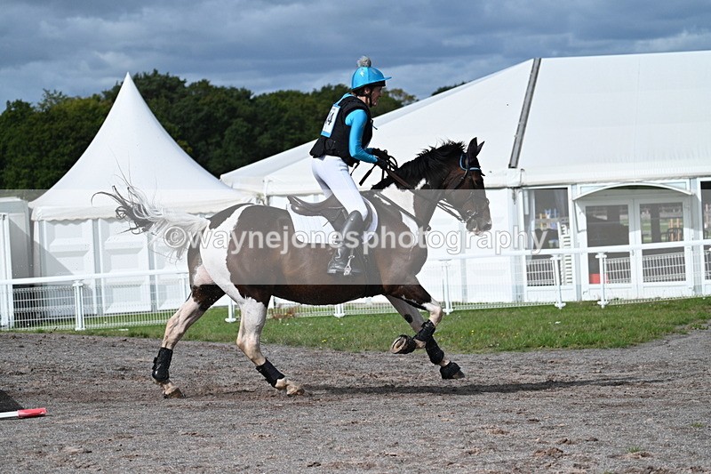 WJ7_0559 - Time 11:36 to 12:00