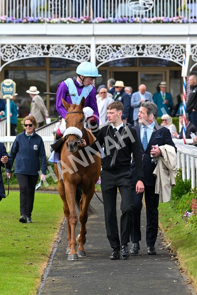 150525-See The Fire-4514 - Race 3 3.13pm Al Basti Equiworld Dubai Middleton Fillies' Stakes