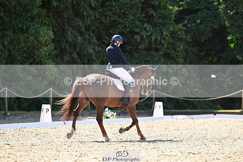 260731A-112429-00342 - Elementary Bronze 10.30 - Break