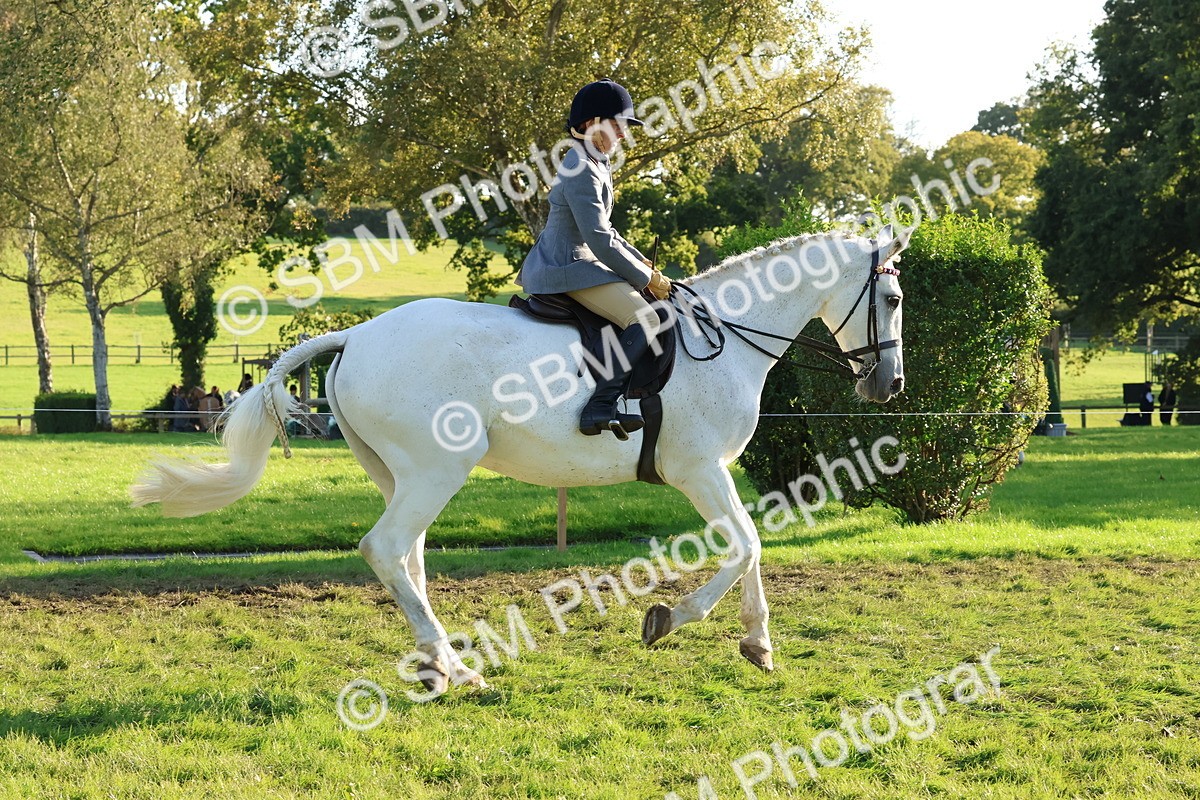 SBM_52999 - S29 - Mature Veteran Ridden