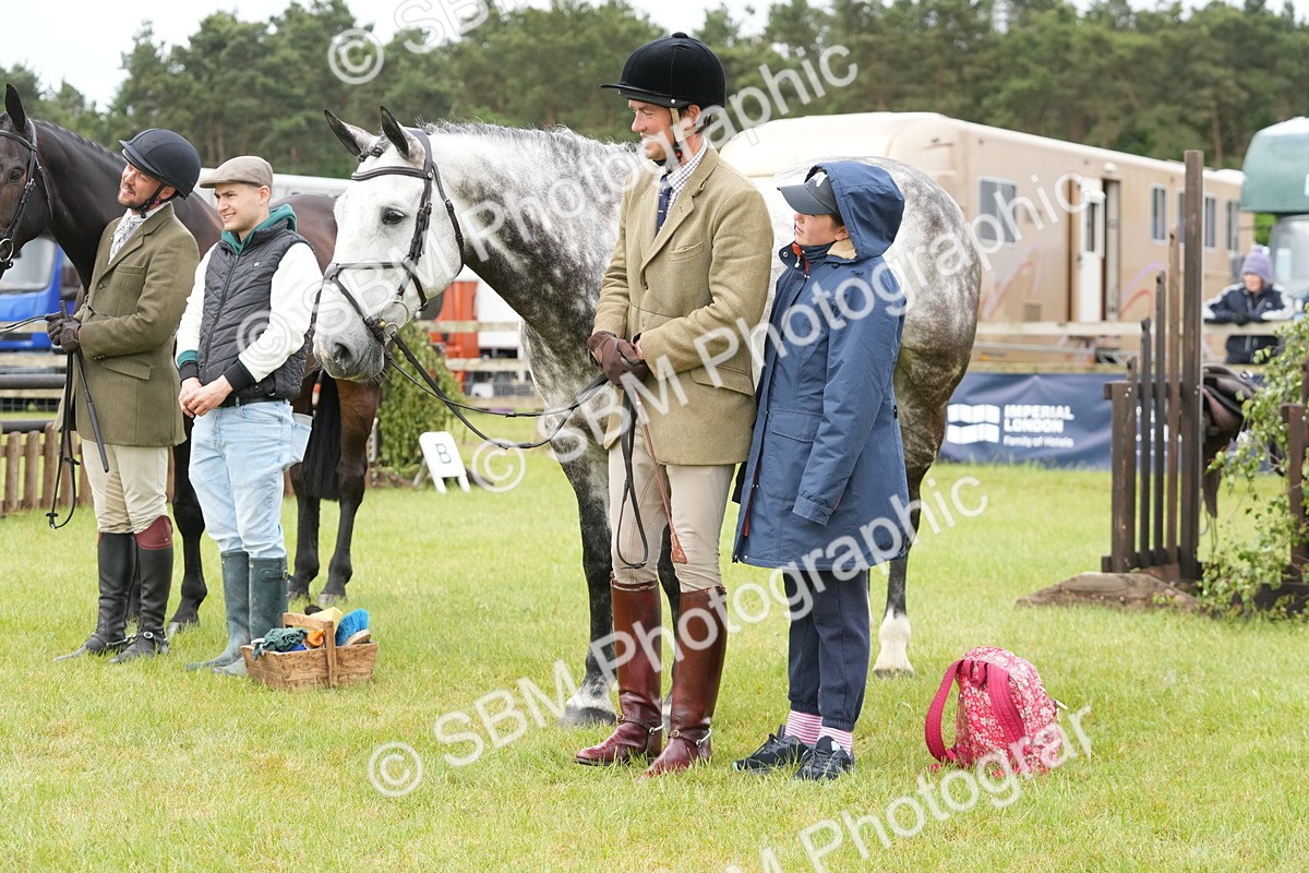 SBM_12742 - Class 97-98 - LIHS BSHA Rising Star Working Show Horse Hunter