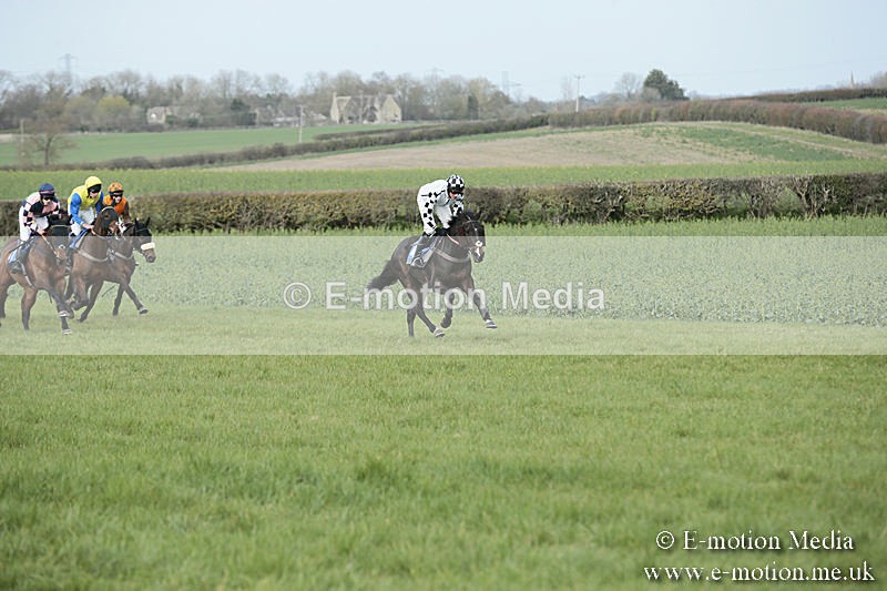 PtP 230319 278 - VWH Hunt Siddington Point-to-Point Racing 23/03/19