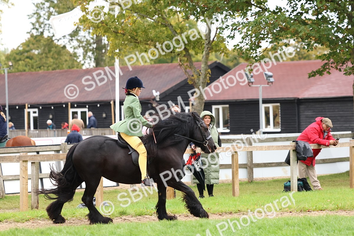 SBM_69653 - S62 - Mountain & Moorland Ridden Large Breeds