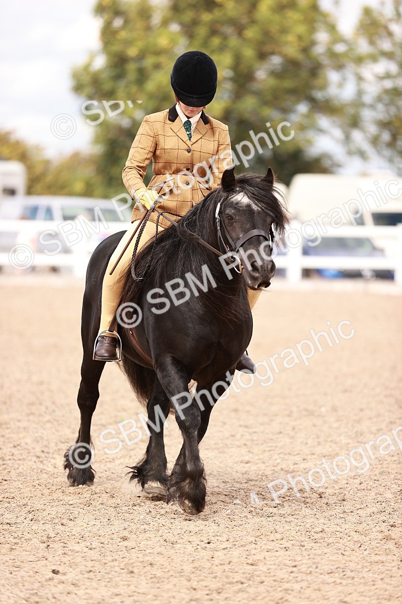 SBM_14325 - Class 408 - Grassroots Ridden -Walk & Trot