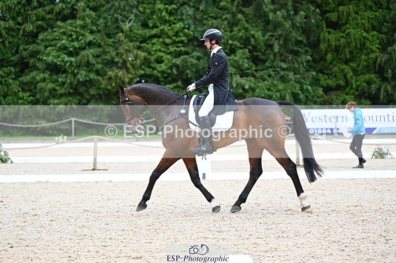 240524-175807-11531 - 162-HAZZLE_DAZZLE-Henry_Hobby