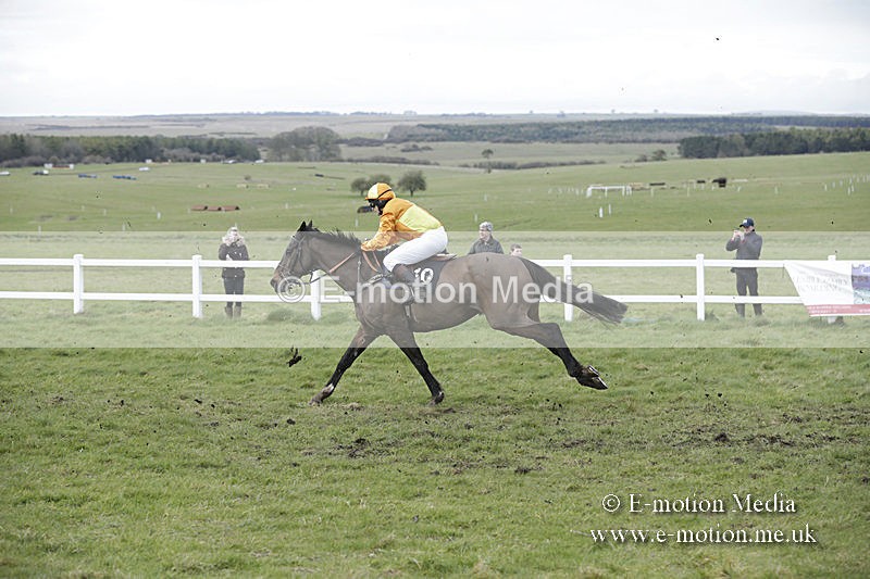 PtP 150320 0691 - New Forest Point-to-Point Larkhill 15/03/20