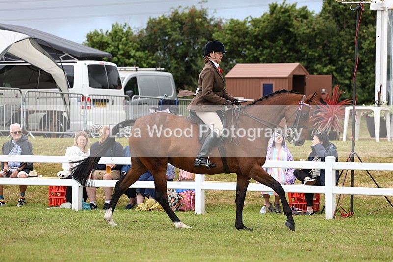 3E7A0922 - Class 8: Open Riding Horse/Hack