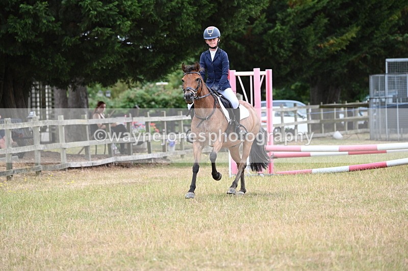 WJ6_9989 - Class 13 Novice Jumping 60cm
