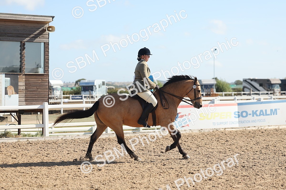 SBM_22608 - Class 804 - Ridden Veteran Pony