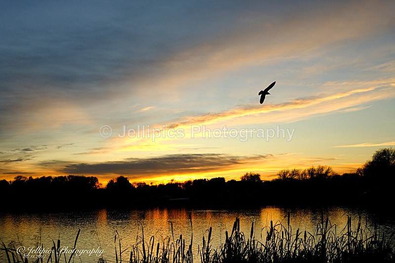  - Landscapes
